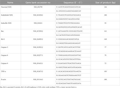 Effect of long-term inorganic nitrate administration on myocardial ischemia-reperfusion injury in ovariectomized rats